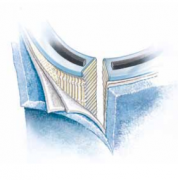 V2090V1C05威格士Vickers過濾器替代濾芯 EH抗燃油濾芯