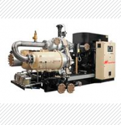 310881英德諾曼液壓油internormen濾芯01.E2001.25P.10.S